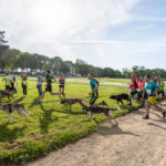 Trail Les gendarmes et les Voleurs de Temps – Ambazac