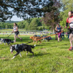 Trail Les gendarmes et les Voleurs de Temps – Ambazac