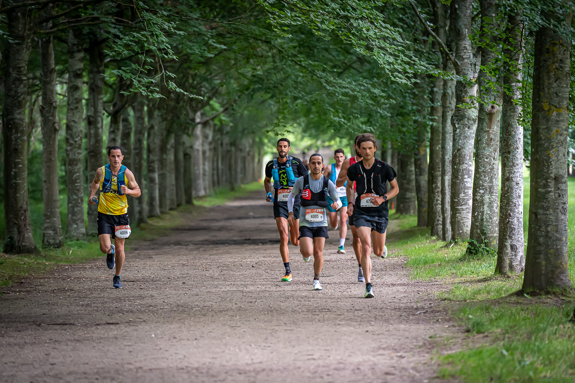 ECOTRAIL de Paris - Édition 2021
