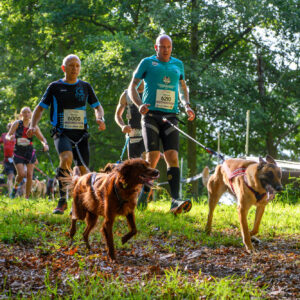 Canitrail – Canicross