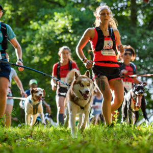 © Vincent Krieger 220604 090326 D52_0959