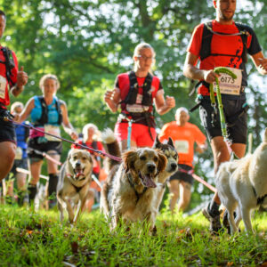 © Vincent Krieger 220604 090338 D52_0979