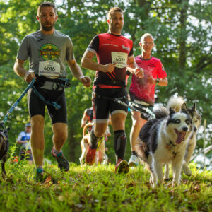 © Vincent Krieger 220604 090353 D52_1000