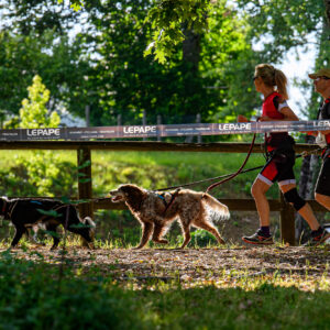 © Vincent Krieger 220604 090441 D52_1011