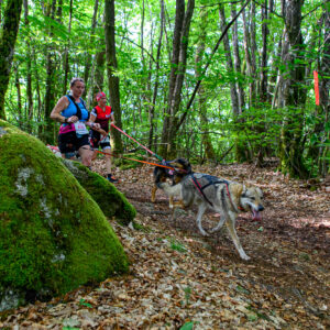 © Vincent Krieger 220604 092025 D61_2572