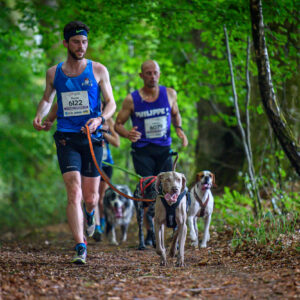 © Vincent Krieger 220604 093541 D52_1103