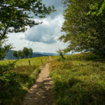 Sentier au cœur des Vosges, serpentant entre forêt et prairie d’altitude. La lumière traverse les arbres et ouvre sur les sommets vosgiens, offrant un paysage naturel et paisible.
