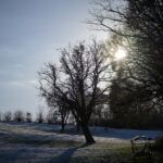 Paysage hivernal dans les Vosges, baigné par une lumière douce et rasante. Au cœur d’une prairie légèrement enneigée, un arbre majestueux se détache devant le soleil, tandis qu’une haie de grands arbres nus forme un écrin sombre en arrière-plan. Les longues ombres des branches s’étirent sur la neige et l’herbe, créant une atmosphère paisible et contemplative. Au premier plan, un banc rustique invite à s’arrêter pour profiter de ce paysage silencieux, entre lumière, givre et nature vosgienne.
