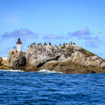 Archipel des Glénan – Île Moutons